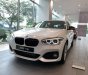 BMW 1 Series 118i   2018 - Bán BMW 118i tại Đà Nẵng - Xe mới chưa đăng ký!