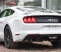 Ford Mustang GT 5.0 Premium  2019 - Ford Mustang GT 5.0 Premium 2019 duy nhất 1 xe có sẵn và giao ngay, giá tốt nhất thị trường. Liên hệ: 0868 93 5995