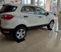 Ford EcoSport Trend 2019 - Xe giá tốt Ford Ecosport Trend AT đời 2019, đủ màu, giao ngay, xe nhập, 555 triệu, trả góp 80%, 0799 526 689