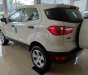 Ford EcoSport Trend 2019 - Xe giá tốt Ford Ecosport Trend AT đời 2019, đủ màu, giao ngay, xe nhập, 555 triệu, trả góp 80%, 0799 526 689