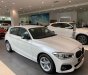 BMW 1 Series 118i   2018 - Bán BMW 118i tại Đà Nẵng - Xe mới chưa đăng ký!