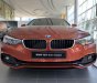 BMW 4 Series 420i Gran Coupe Sport 2019 - BMW 420i Gran Coupe 2019 vừa cập cảng, giao xe ngay