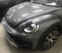 Volkswagen New Beetle 2019 - Bán Volkswagen New Beetle cao cấp đời 2019, màu xám (ghi), xe nhập