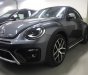 Volkswagen New Beetle 2019 - Bán Volkswagen New Beetle cao cấp đời 2019, màu xám (ghi), xe nhập