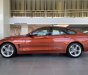 BMW 4 Series 420i Gran Coupe Sport 2019 - BMW 420i Gran Coupe 2019 vừa cập cảng, giao xe ngay