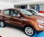 Ford EcoSport Trend 2019 - Bán xe Ford EcoSport Trend năm sản xuất 2019, màu trắng