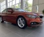 BMW 4 Series 420i Gran Coupe Sport 2019 - BMW 420i Gran Coupe 2019 vừa cập cảng, giao xe ngay