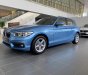 BMW 1 Series 118i 2019 - BMW 118i - Xe sang nhập khẩu giá hấp dẫn