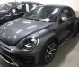 Volkswagen New Beetle 2019 - Bán Volkswagen New Beetle cao cấp đời 2019, màu xám (ghi), xe nhập