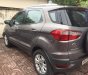 Ford EcoSport   2014 - Bán Ford EcoSport 2014, màu xám, nhập khẩu 