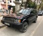 Jeep Cherokee 5.7 MT AWD 1994 - Bán Jeep Cherokee 5.7 MT AWD đời 1994, màu đen, nhập khẩu, giá chỉ 78 triệu