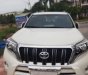 Toyota Land Cruiser 2016 - Cần bán xe Toyota Land Cruiser sản xuất năm 2016, màu trắng, xe nhập