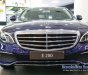 Mercedes-Benz E class  E200   2018 - Bán Mercedes E200 sản xuất năm 2018, màu xanh lam