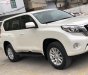 Toyota Prado TXL 2.7L 2016 - Bán xe Toyota Prado TXL 2.7L đời 2016, màu trắng, nhập khẩu nguyên chiếc chính chủ