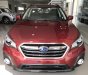 Subaru Outback 2.5 i-s Eyesight  2018 - Xe Subaru Outback 2.5 i-s Eyesight _ Sang trọng, tiện nghi, cực kỳ rộng rãi, an toàn