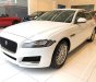 Jaguar XF Prestige 2018 - Bán Jaguar XF Prestige sản xuất 2018, màu trắng, nhập khẩu