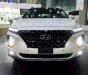 Hyundai Santa Fe   2019 - Bán Hyundai Santa Fe năm sản xuất 2019, màu trắng
