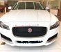 Jaguar XF Prestige 2018 - Bán Jaguar XF Prestige sản xuất 2018, màu trắng, nhập khẩu