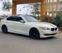 BMW 5 Series 523i 2010 - Bán BMW 5 Series 523i đời 2010, màu trắng, nhập khẩu