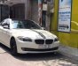 BMW 5 Series 523i 2010 - Bán BMW 5 Series 523i đời 2010, màu trắng, nhập khẩu