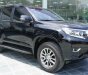 Toyota Land Cruiser   2018 - Cần bán gấp Toyota Land Cruiser đời 2018, màu đen, nhập khẩu nguyên chiếc