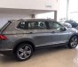 Volkswagen Tiguan   2019 - Bán Volkswagen Tiguan 2019, màu xám, nhập khẩu