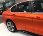 BMW 3 Series 320i 2018 - Bán ô tô BMW 3 Series 320i năm sản xuất 2018, nhập khẩu