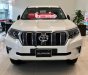 Toyota Prado VX 2.7L 2019 - Cần bán Toyota Prado VX 2.7L năm 2019, màu trắng, nhập khẩu Nhật Bản