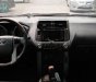 Toyota Prado TXL 2009 - Bán Toyota Prado TXL năm 2009, màu đen, xe nhập