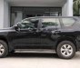 Toyota Prado TXL 2009 - Bán Toyota Prado TXL năm 2009, màu đen, xe nhập