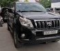 Toyota Prado TXL 2009 - Bán Toyota Prado TXL năm 2009, màu đen, xe nhập