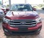 Ford Everest Ambiente 2.0 4x2 MT 2019 - Cần bán xe Ford Everest Ambiente 2.0 4x2 MT 2019 2019, màu đỏ, xe nhập