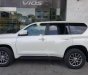 Toyota Prado VX 2.7L 2019 - Bán xe Toyota Prado VX 2.7L năm 2019, màu trắng, nhập khẩu Nhật Bản