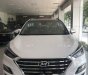 Hyundai Tucson  2.0 2019 - Bán Hyundai Tucson sản xuất 2019, màu trắng, nhập khẩu