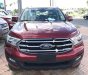 Ford Everest Ambiente 2.0 4x2 MT 2019 - Cần bán xe Ford Everest Ambiente 2.0 4x2 MT năm 2019, màu đỏ, nhập khẩu nguyên chiếc 