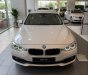 BMW 3 Series    320i 2018 - Bán BMW 3 Series 320i đời 2018, màu trắng, nhập khẩu Đức