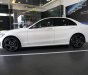 Mercedes-Benz C class 2019 - Giá xe Mercedes C300 AMG 2019: Thông số, giá lăn bánh (11/2019) giảm tiền mặt, tặng bảo hiểm và phụ kiện chính hãng