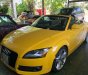 Audi TT    2007 - Cần bán xe Audi TT 2007, màu vàng, nhập khẩu nguyên chiếc