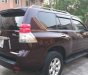 Toyota Prado   2.7 AT  2009 - Cần bán gấp Toyota Prado 2.7 AT sản xuất 2009, màu đen, nhập khẩu