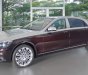 Mercedes-Benz Maybach S500 2017 - Bán Maybach Mercedes-Benz S500 màu ruby black beige, đi 39 km, nhập khẩu, mới 99%