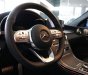 Mercedes-Benz C class 2019 - Giá xe Mercedes C300 AMG 2019: Thông số, giá lăn bánh (11/2019) giảm tiền mặt, tặng bảo hiểm và phụ kiện chính hãng