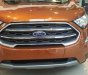 Ford EcoSport Titanium 1.5L 2019 - Bán Ford EcoSport siêu ưu đãi tặng BHVC, phim, camera, tiền mặt