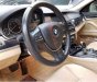 BMW 5 Series 528i  2011 - Bán BMW 5 Series 528i đời 2011, xe nhập còn mới