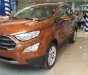 Ford EcoSport Titanium 1.5L 2019 - Bán Ford EcoSport siêu ưu đãi tặng BHVC, phim, camera, tiền mặt