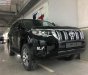 Toyota Prado VX 2.7L 2018 - Bán xe Toyota Prado VX 2.7L sản xuất 2018, màu đen, xe nhập