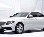 Mercedes-Benz E class E200 2019 - Bán xe Mercedes E200 đời 2019, màu trắng