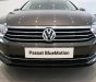 Volkswagen Passat   Bluemotion 2018 - Bán Passat Bluemotion 4 chỗ nhập Đức, giao ngay