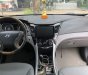 Hyundai Sonata 2010 - Cần bán xe Hyundai Sonata 2010, màu đen, nhập khẩu