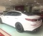 Kia Optima  2.4 GT-Line 2019 - Bán Kia Optima đời 2019, màu trắng, 969 triệu