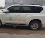 Toyota Prado  TXL 2.7L   2016 - Bán Toyota Prado TXL 2.7L năm 2016, màu trắng, nhập khẩu 